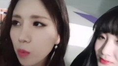 无法真挚的JIN智SHOW!