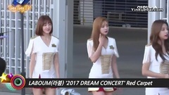 2017梦想演唱会红毯