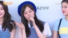 2017梦想演唱会红毯