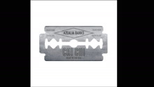 Azealia Banks - Azealia Banks - Chi Chi 试听片段