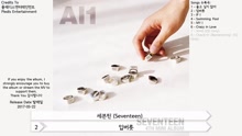 SEVENTEEN《Al1》全碟