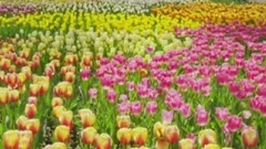 最喜欢的英文歌曲第一季