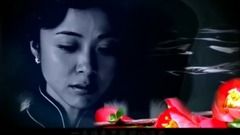 红海棠 电视剧<红海棠>主题曲