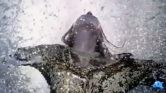 Silence Must Be Heard-寂静的声音