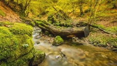 民乐群星,风景,轻音乐,乐动城市 - 波斯尼亚和黑塞哥维那唯美风光