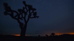 莫扎特:D大调嬉游曲 K136