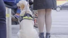 身边人-为了你,我不敢老 17/05/28