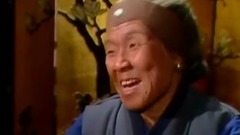 红楼梦之刘姥姥行医