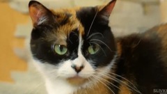 ЛАЙФХАКОВ ИЗ КИТAЯ