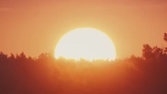 Bloom (Official Music Video)