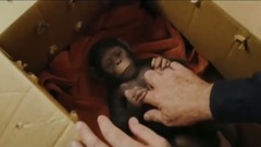 猩球崛起3:终极之战 电视宣传片2