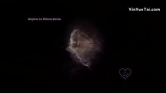 Nights In White Satin