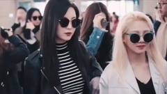 社会大姐大我八腿 饭制版