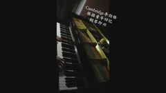 钢琴串烧【死了都要爱+你怎么舍得我难过】