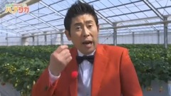 マギー&SKE48のハナタカ 菅原茉椰 17/07/01