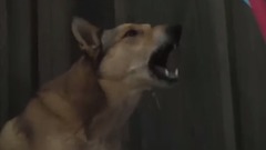 传教士 精彩片段 第一集片段之Be Quiet