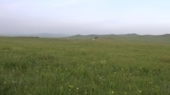 呼伦贝尔草原8
