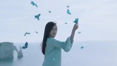 Dream Catcher - Fly high
