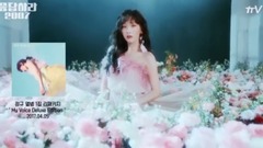 Girls' Generation 10th AnniversaryReply