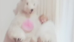 白熊与泰妍 15/12/01