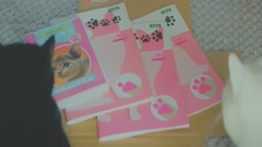 猫的学习 让人心醉宁静的BGM~