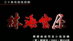 电视剧<林海雪原>片头曲