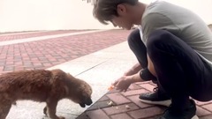 【奔狍小剧场】鹿晗运动季运动足球鹿Boss再度回归