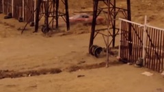 生龙活虎打冲锋 第二版