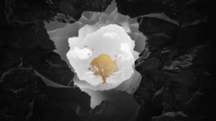 What Would I Change It To