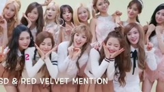 【red_velvet×少女时代】腿毛有爱瞬间