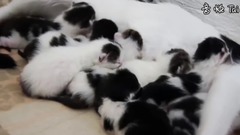 一不小心生多了 怎么办?最后开车啦