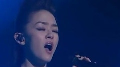 紫雨林 - 猎鲸鱼