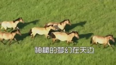 苍天般的阿拉善