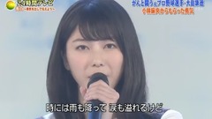 365日の纸飞行机