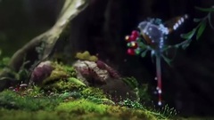 Youth Love and Fantasy