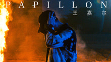 王嘉尔 - Papillon
