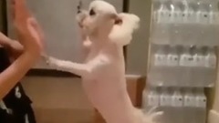 少女时代,徐玄(少女时代) - 徐玄 instagram更新一则