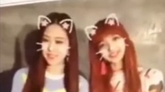 BLACKPINK - BLACKPINK日本直播