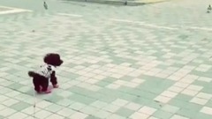 泰妍的男人-金泽