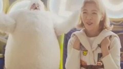 陪函数度过漫长岁月