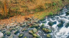 YOUR AMBER EYES - Michael Bush