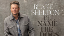 Blake Shelton - Blake Shelton - I'll Name The Dogs