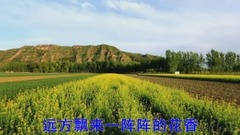 草原花开香四方MV