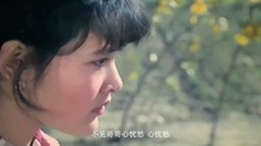 妹妹找哥泪花流