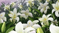 想和你一起慢慢变老