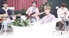 HONEYST - 10cm Cover Medley