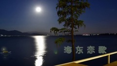 海东恋歌 . yixin映画