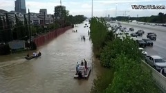 We Finally Know What This Hurricane Harvey Sea Creature Actually Is