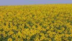 优雅世界 松下4K高清演示片