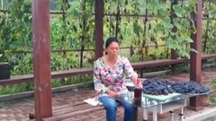 大娘展示农村酿葡萄酒过程,不放添加剂成本又便宜放一年不坏胖嫂